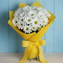 Букет цветов из:  Хризантемы в Посёлок Комбината Стройматериалов-1