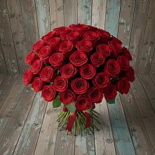 Букет 55 Красных роз Фридом #REPLACE_PRED# Посёлок Комбината Стройматериалов-1