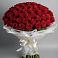 Букет 101 Красная роза Блэк Мэджик в Посёлок Комбината Стройматериалов-1