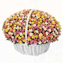 Премиум букет из: Розы в Посёлок Комбината Стройматериалов-1