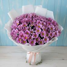 Букет цветов из:  Хризантемы в Посёлок Комбината Стройматериалов-1