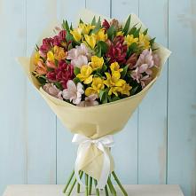 Букет цветов из:  Альстромерии в Посёлок Комбината Стройматериалов-1