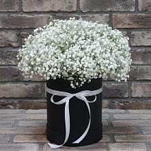 Цветочная композиция из Гипсофила в шляпной коробке #REPLACE_PRED# Посёлок Комбината Стройматериалов-1