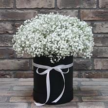 Цветочная композиция из Гипсофила в шляпной коробке в Посёлок Комбината Стройматериалов-1
