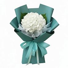 Букет цветов из:  Гортензия #REPLACE_PRED# Посёлок Комбината Стройматериалов-1